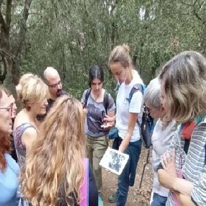 Logo de l'activitat Ruta: fauna i flora del bosc mediterrani (07/06)